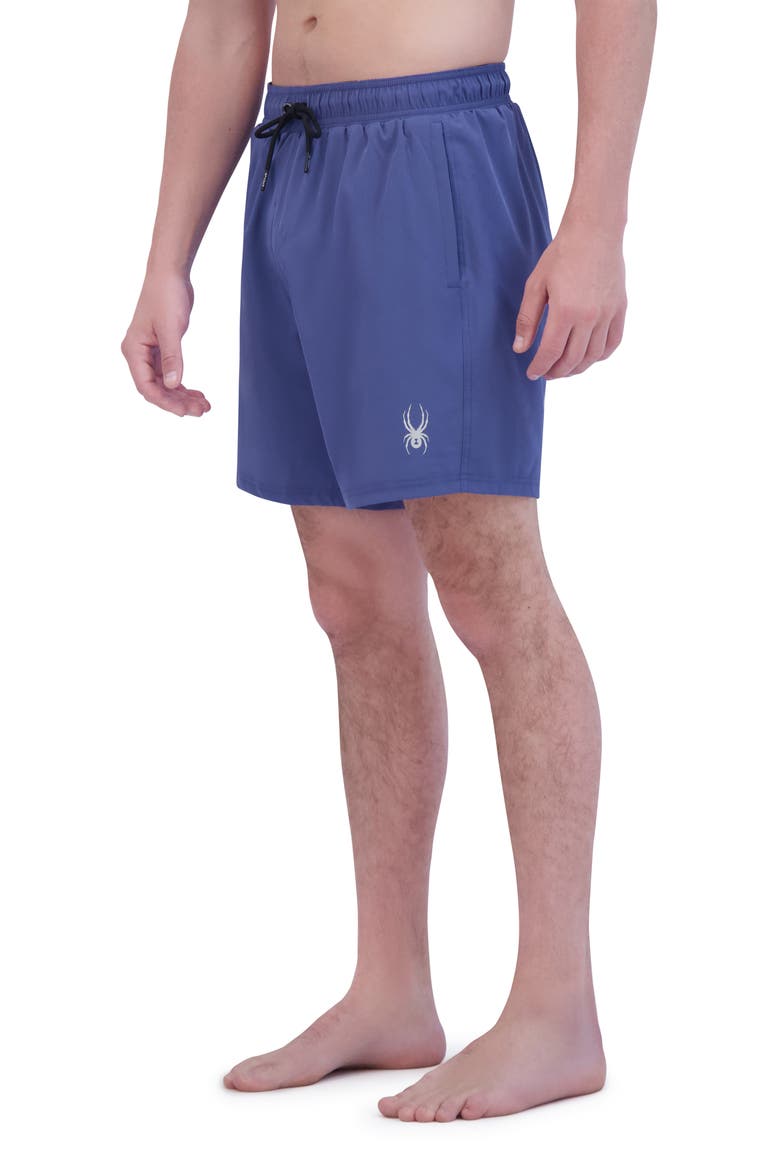 7-Inch Volley Swim Shorts, Alternate, color, GRAY/ BLUE