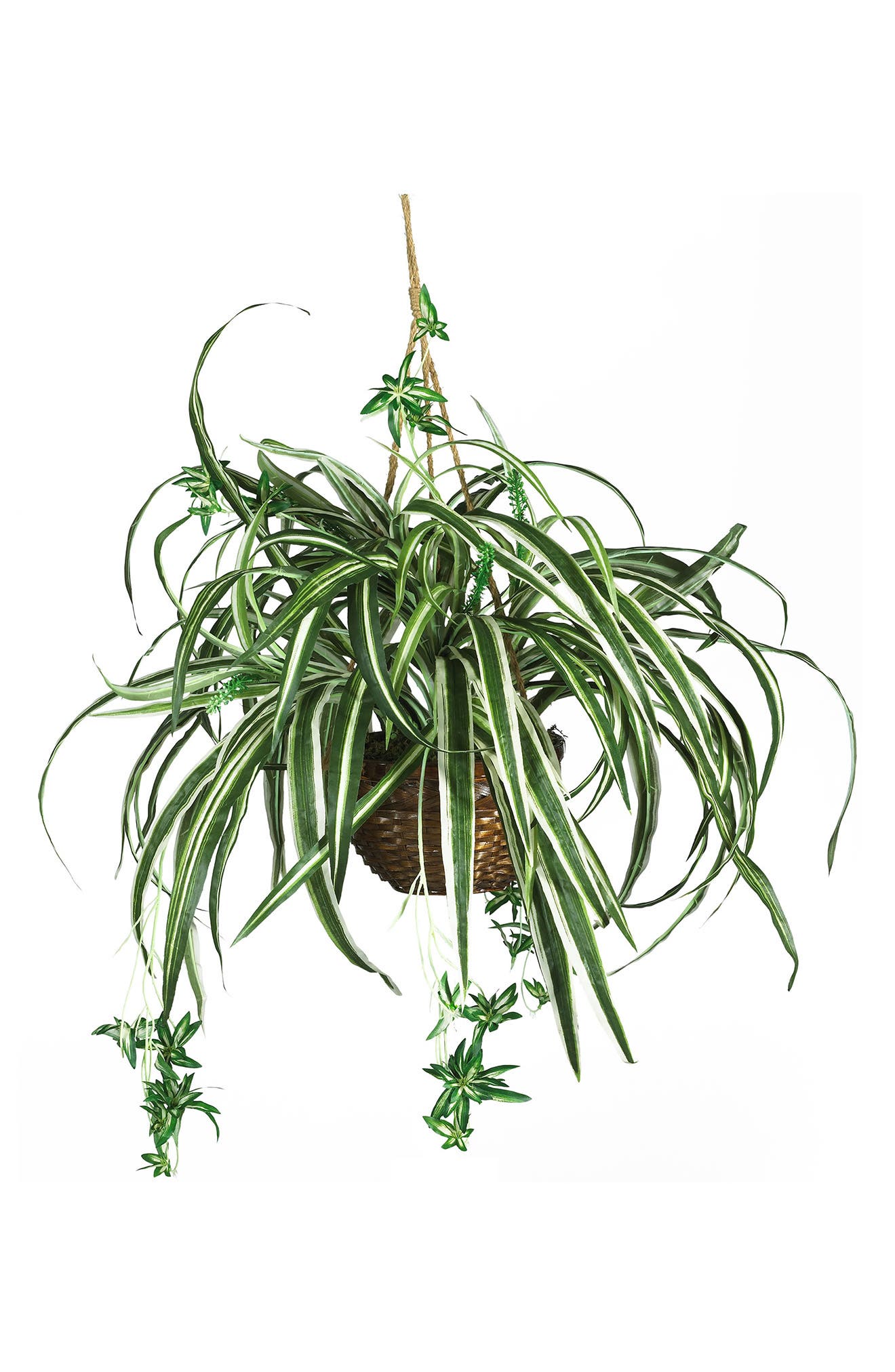 NEARLY NATURAL Spider Hanging Basket Artificial Plant | Nordstrom