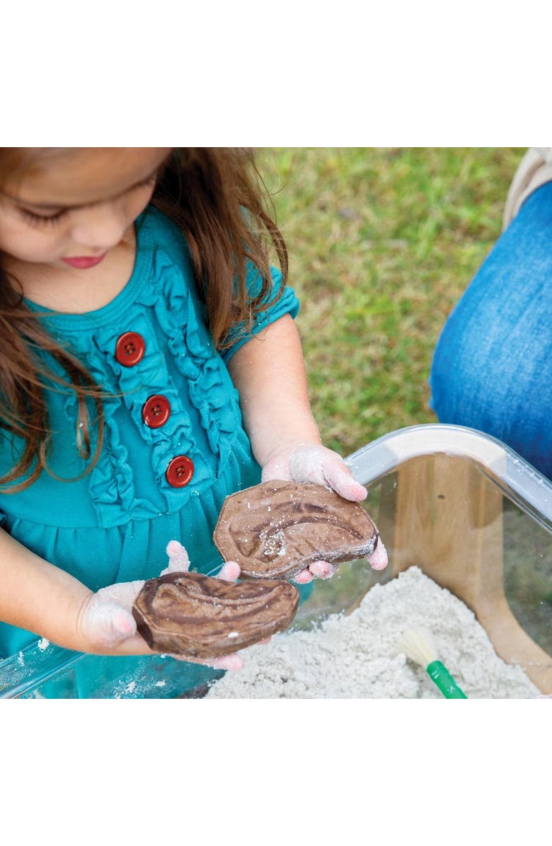 Kaplan Early Learning Company Magnetic Matching Fossil Stones - Set of 6, Alternate, color, Multicolored