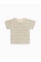 selected Bird Stripe/Fern