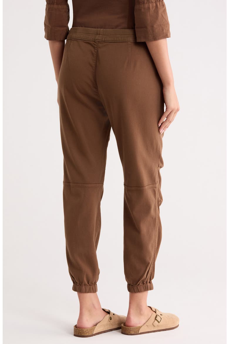 Soft Drape Utility Pants, Alternate, color, GINGERBREAD