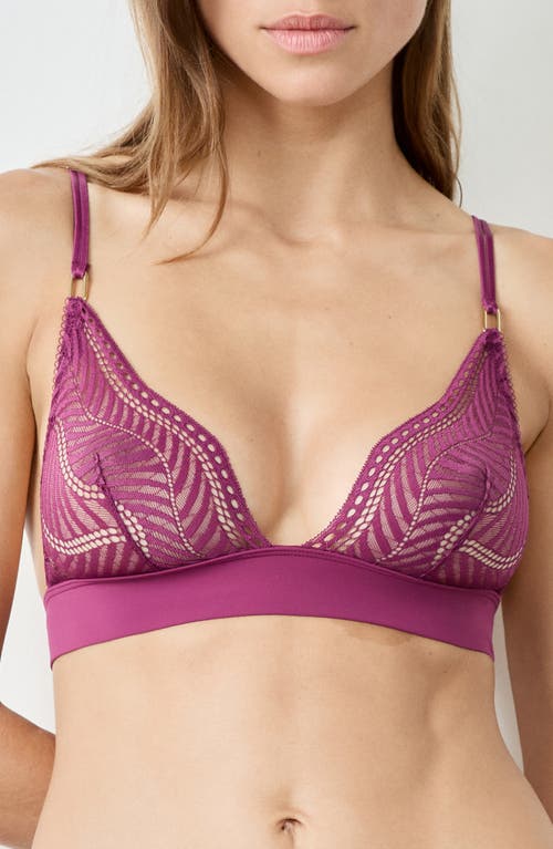 Etam Audace Lace Triangle Bra In Purple