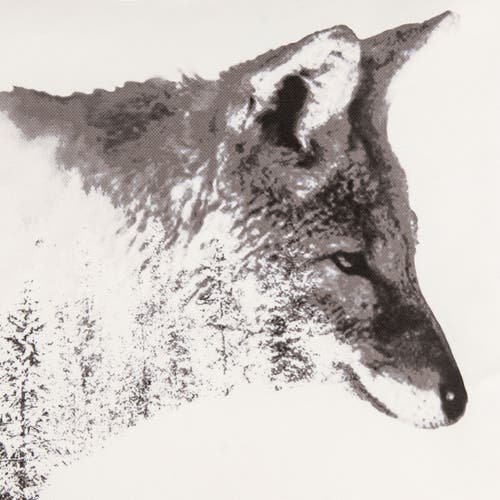 C & F Home C&f Home Fox Forest Indoor/outdoor Grayscale Accent Throw Pillow 18" X 18" In Animal Print