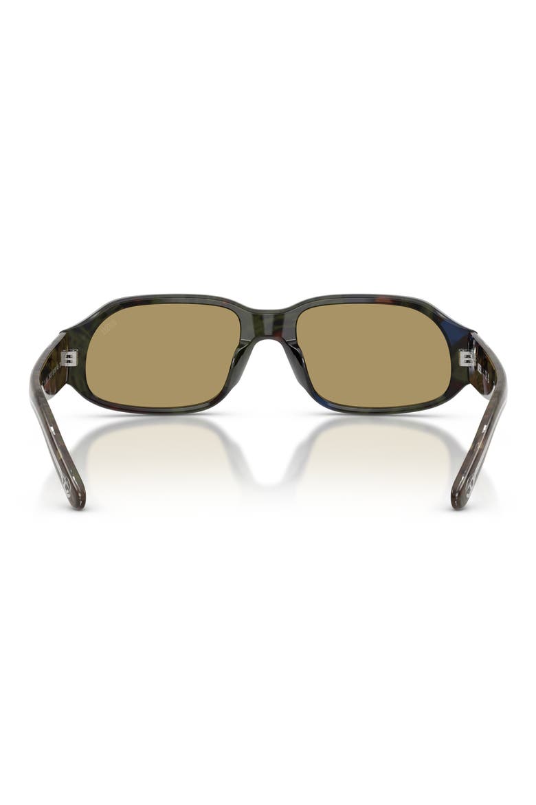 55mm Oval Sunglasses, Alternate, color, GREEN HAVANA / GREEN
