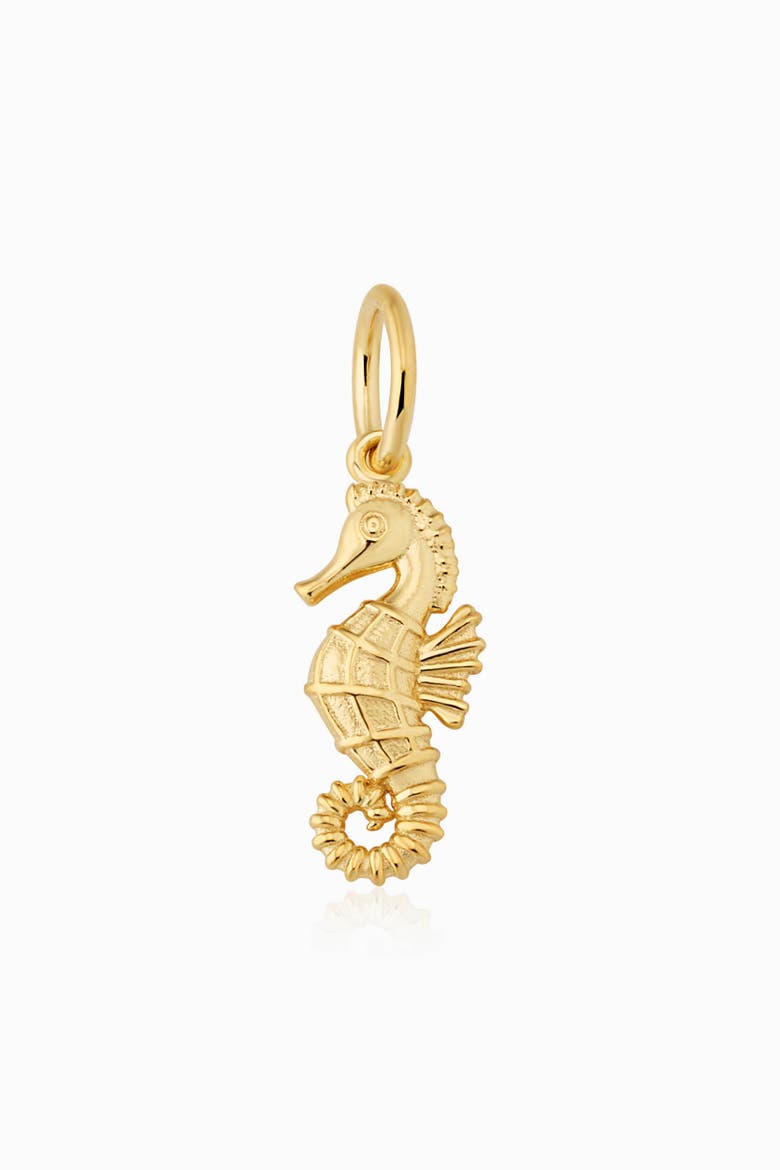 14K Yellow Gold Seahorse Pendant Charm, Main, color, Yellow Gold