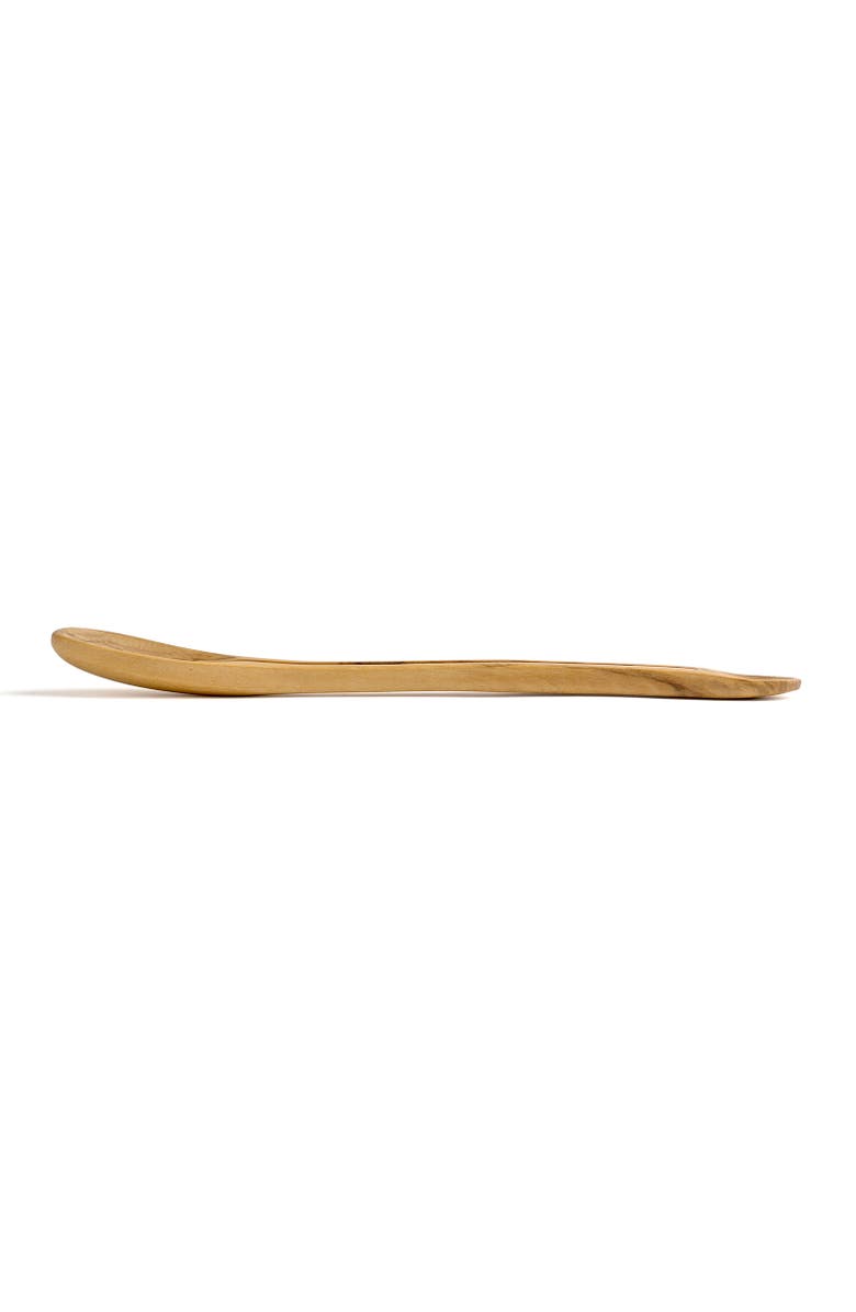 Berard France Olive Wood Handcrafted Tasting Spoon, Alternate, color, Brown