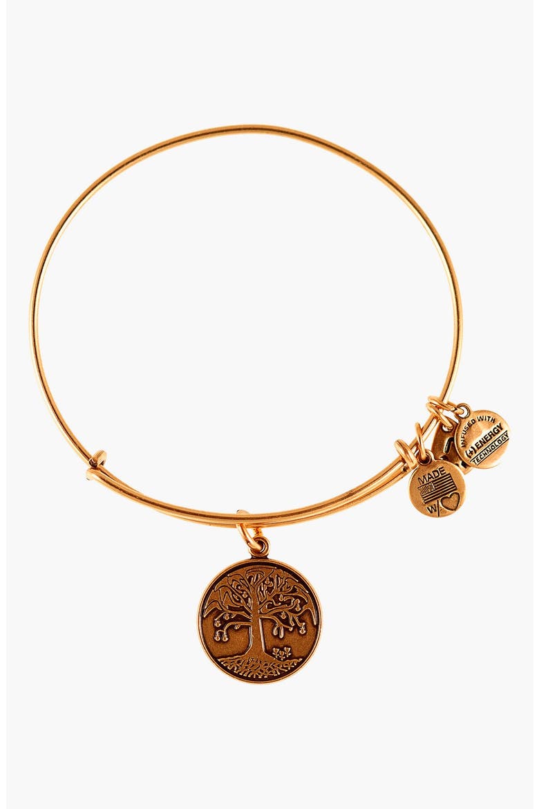 'Tree of Life' Expandable Wire Bangle, Main, color, RAFAELIAN GOLD