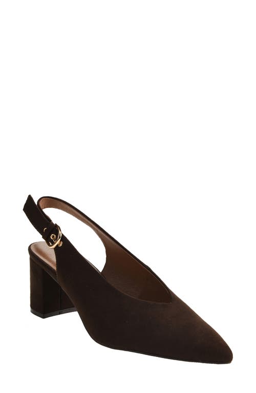 Chinese Laundry Menny Pointed Toe Slingback Pump In Brown