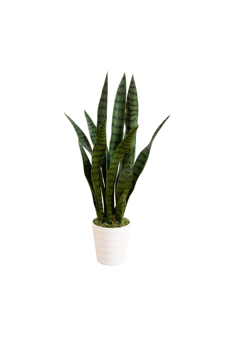 2-ft UV Resistant Artificial Sansevieria Snake Plant in White Decorative Planter, Main, color, Green