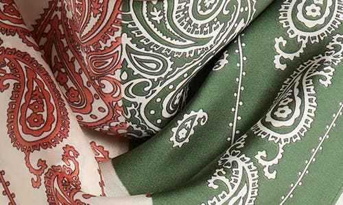 Ellian Paisley Colorblock Satin Scarf