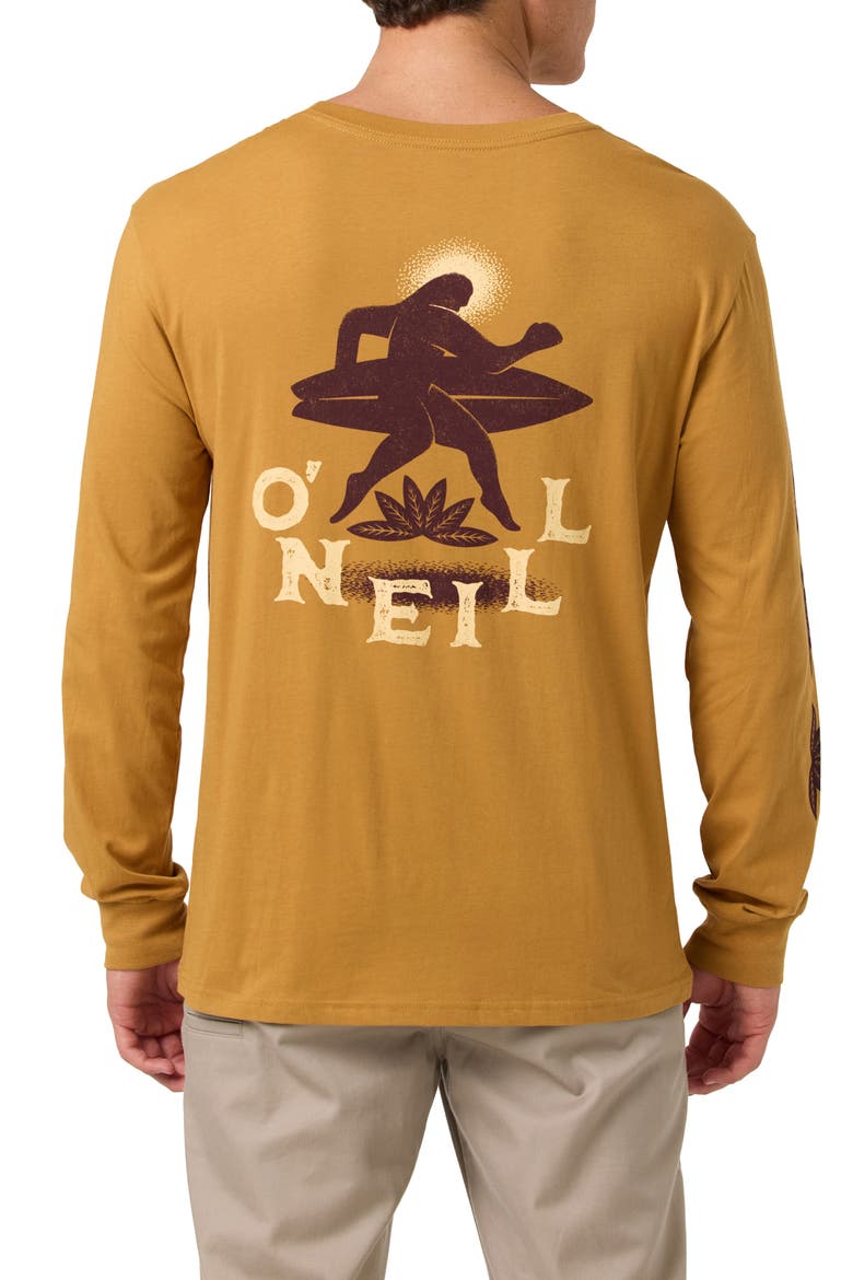 El Calafate Long Sleeve Cotton Graphic T-Shirt, Alternate, color, BONE BROWN