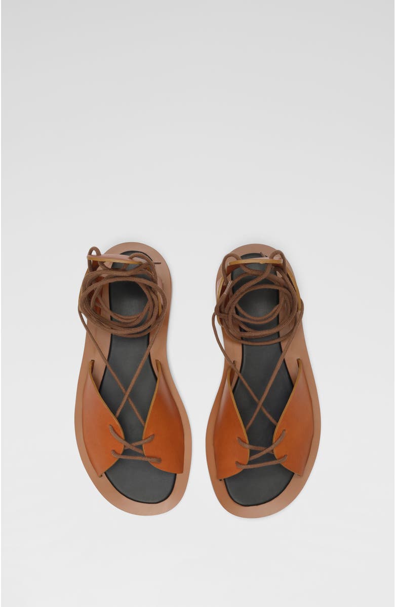 CO Gladiator Sandal in Leather, Alternate, color,