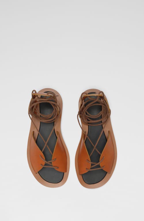 Co Gladiator Sandal