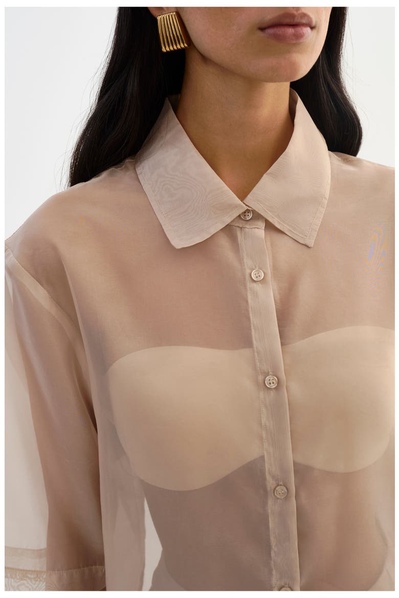 Manda | Sheer Shirt, Alternate, color, Beige