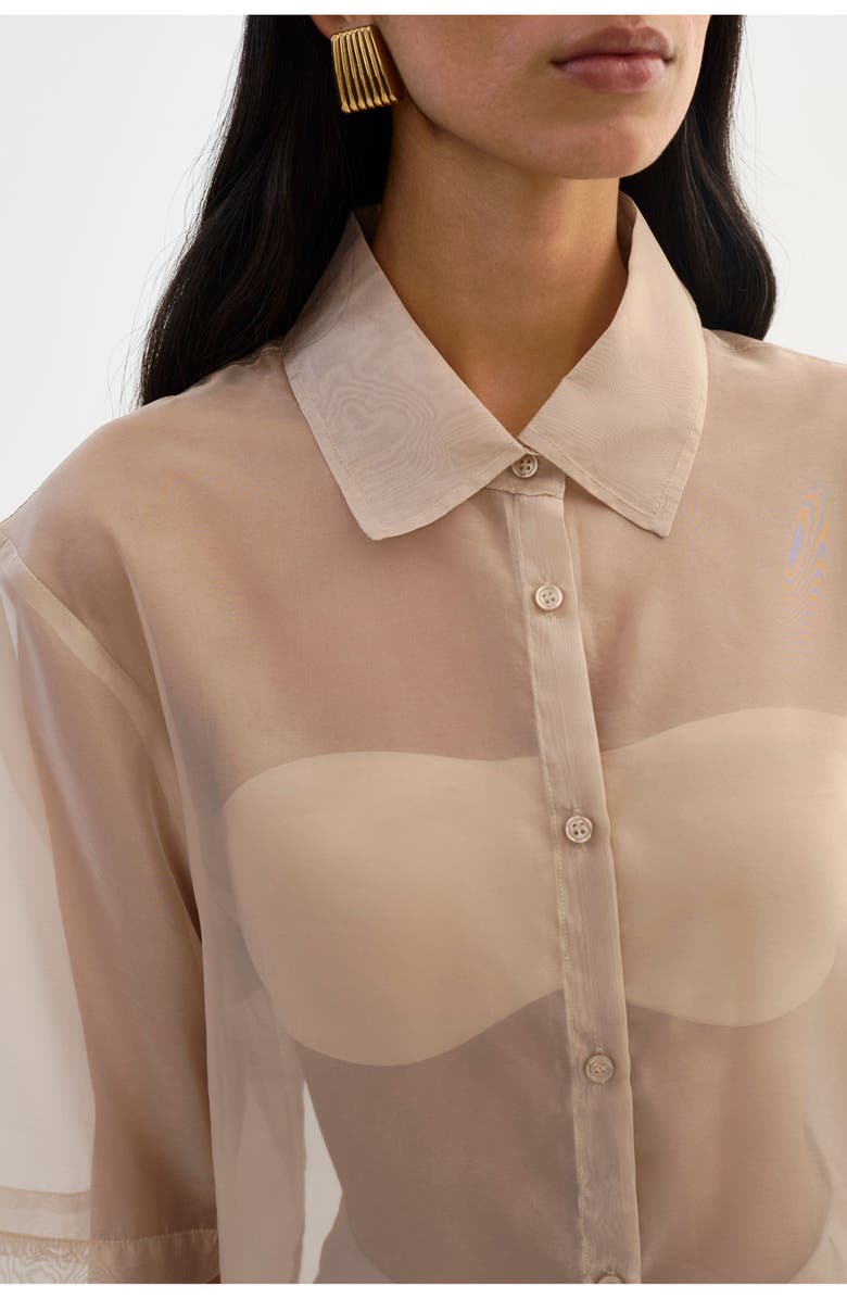 LAMARQUE Manda | Sheer Shirt, Alternate, color, Beige