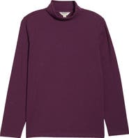 Seasalt Cornwall Landing Turtleneck Stretch Organic Cotton Top