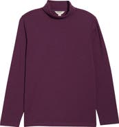 Seasalt Cornwall Landing Turtleneck Stretch Organic Cotton Top