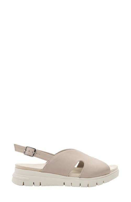 David Tate Madona Unit Slingback Sandal In Brown