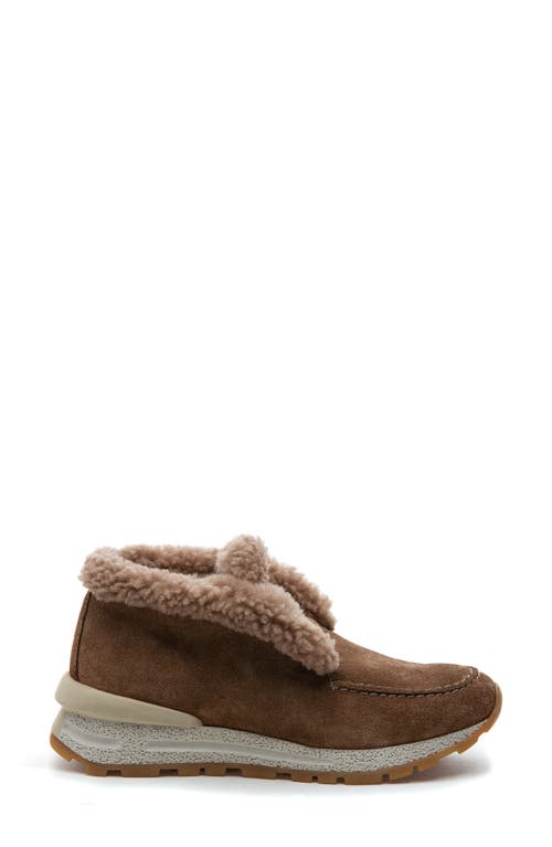 275 Central Quinn Genuine Shearling Lined Sneaker Boot In Brown