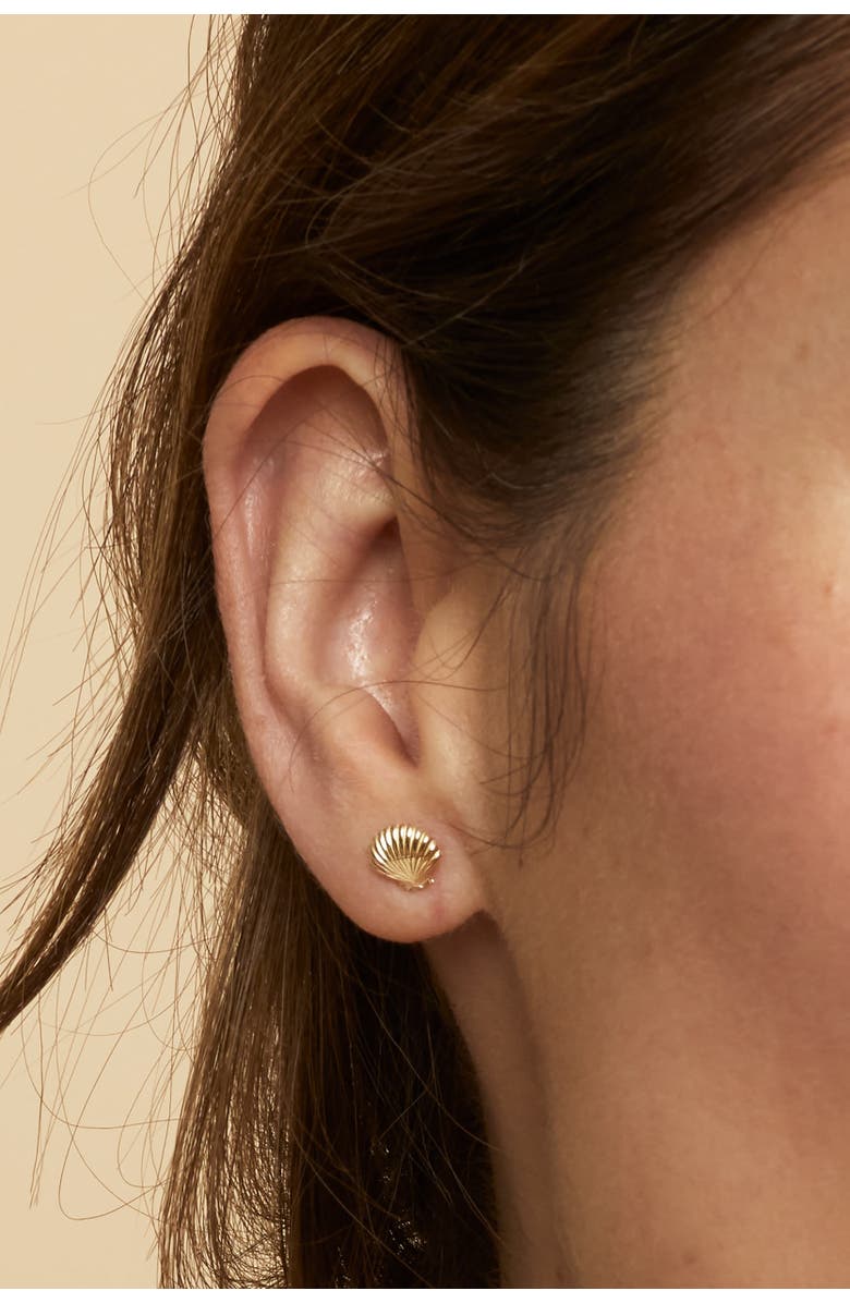 Oradina 14K Yellow Gold Seashell Studs, Alternate, color, Yellow Gold