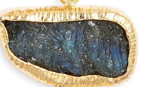 Kiara By Ki-ele Kirin Labradorite Drop Earrings In Multi