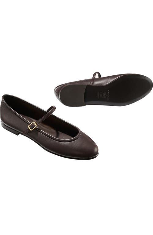 Margaux The Demi Jane Flat In Brown