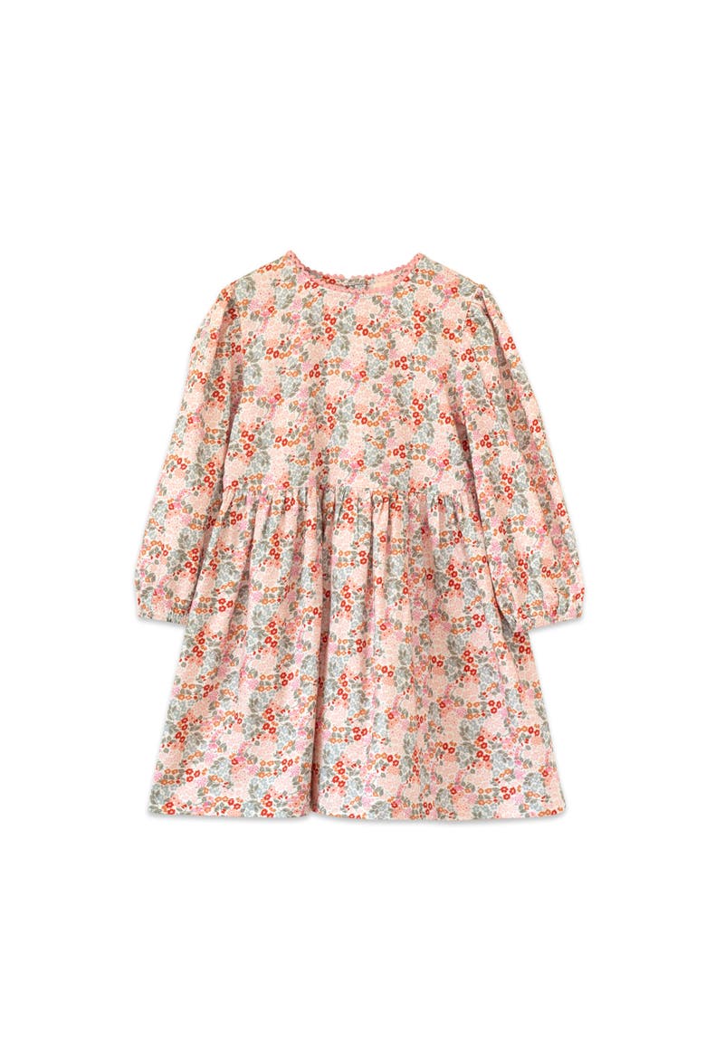 Phoebe Long Sleeves Dress, Main, color, Pixie Blooms