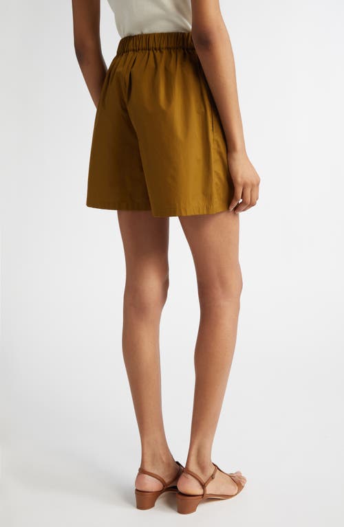 Max Mara Haway Elastic Waist Cotton Poplin Shorts In Olive Green