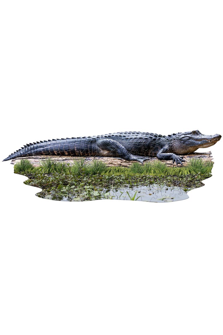 I Am Lil' Gator 100 Pieces Animal Shaped Jigsaw Puzzle, Multicolored, Alternate, color, Multicolored