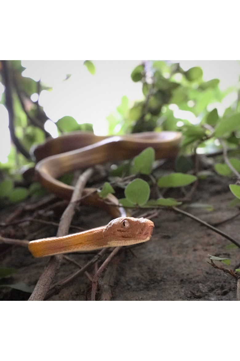Amazon Tree Boa Toy, Alternate, color, No Color