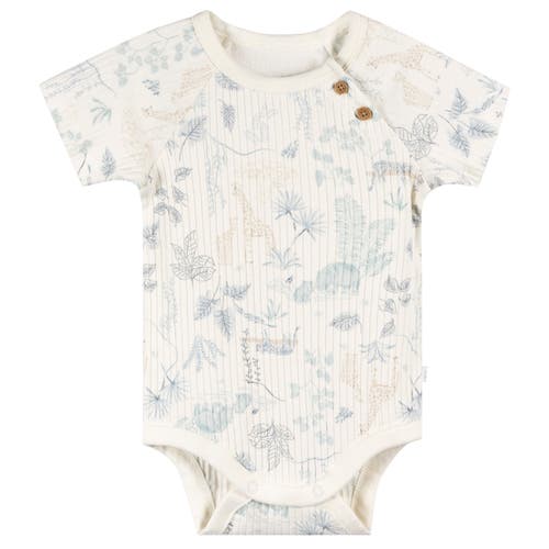 Just Born Assorted 3-pack Bodysuits In Animal Print