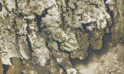 Jordan Kids' X Realtree Mj Mvp Fleece Pants In Green