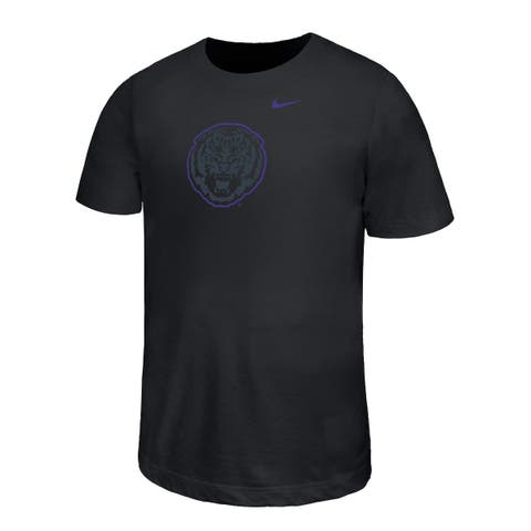 Youth Nike Black LSU Tigers Legend Color Pop Performance T-Shirt