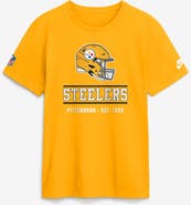 Nike Men's Nike Gold Pittsburgh Steelers Sideline Alternate Final Sprint Dri-FIT T-Shirt