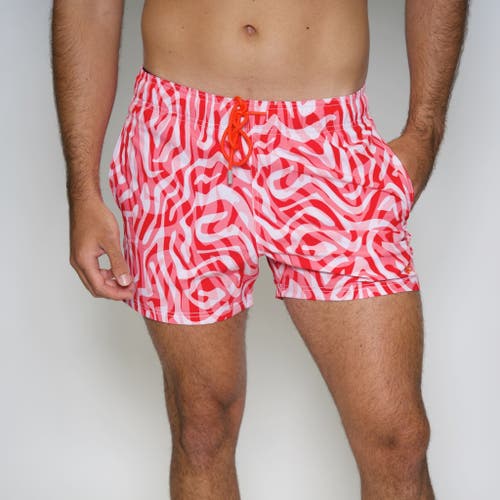 Le Club Resortwear 4.25" Le Club 4 Way Stretch Mens Swim Trunk