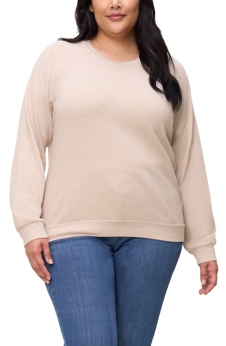 The Standard Stitch The Raglan Sweatshirt, Main, color, Oat