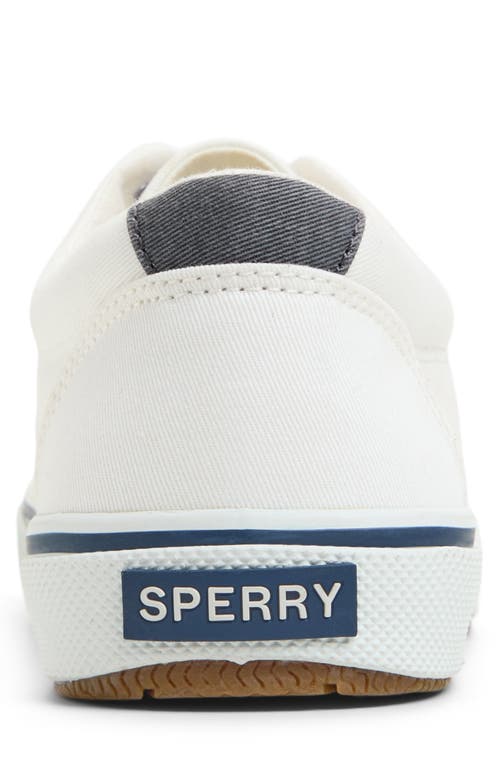 Sperry Halyard Cvo Sneaker In White