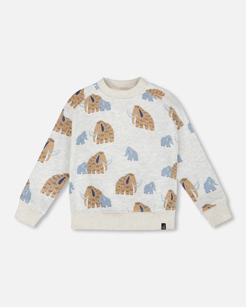 Long Sleeve Crew Neck Fleece Sweatshirt Mammoth (Little Kid & Big Kid)