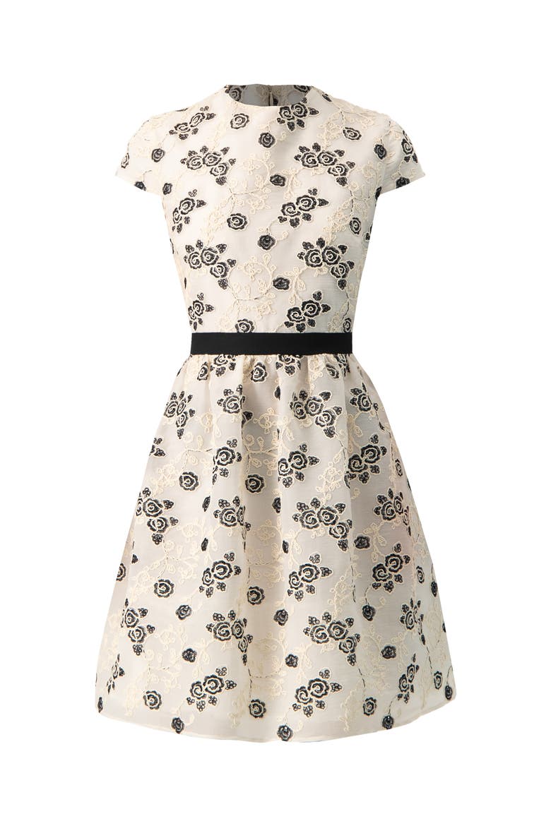 Floral Embroidered Short A-Line Dress, Alternate, color, Natural