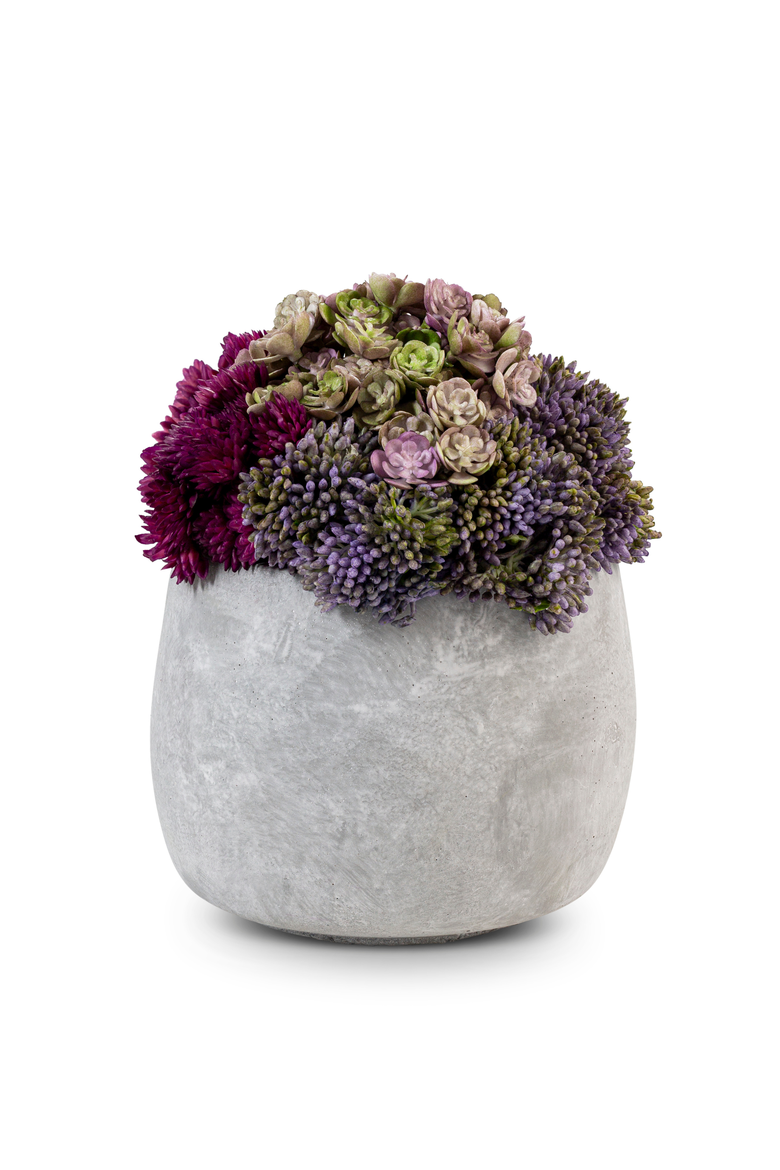 Bailey Ceramic Sedum, Main, color, Pink