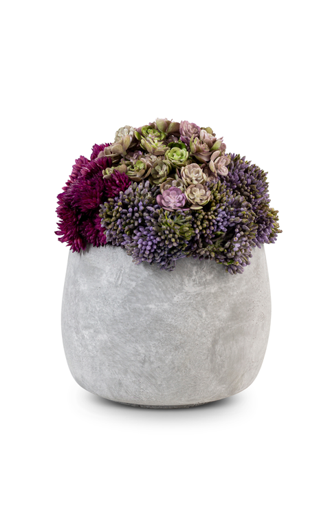 Bailey Ceramic Sedum