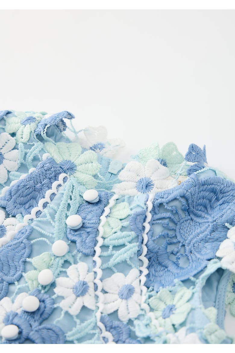Jade Embroidered Mini Dress, Alternate, color, Powder Blue