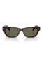 selected Havana / Green Polar