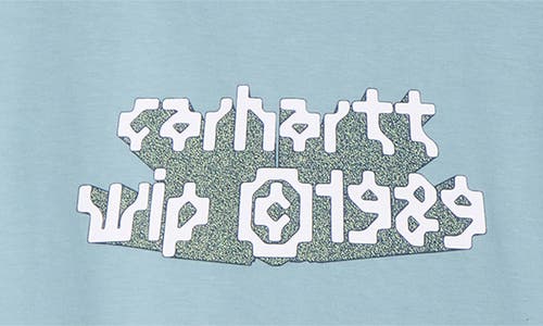 Carhartt Work In Progress Terra Organic Cotton Graphic T-shirt In Blue