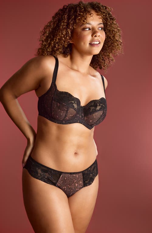 Panache Nina Lace Cheeky Bikini In Black