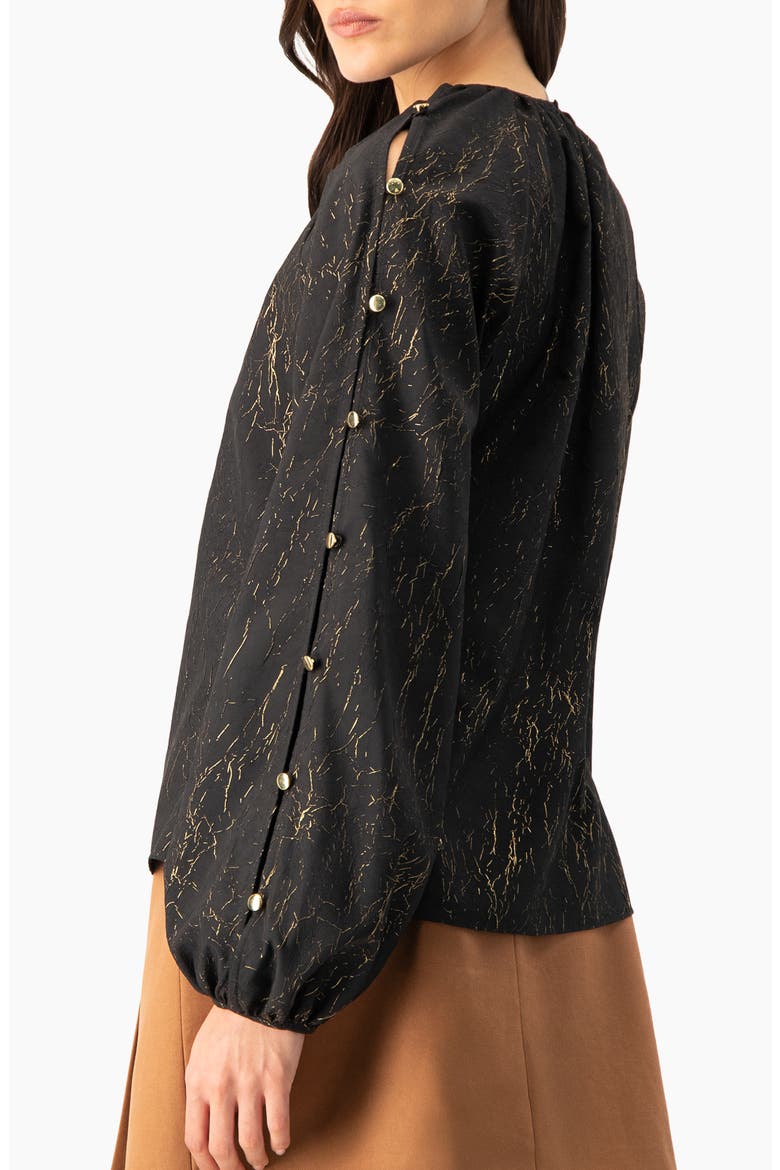 Long Sleeve V-Neck Blouse, Alternate, color, Black