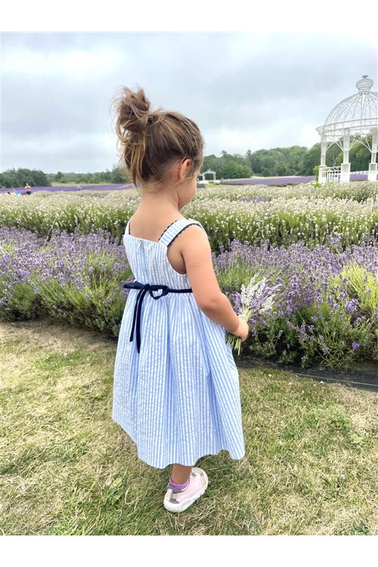 Seersucker Dress With Popscicles, Alternate, color, Light Blue