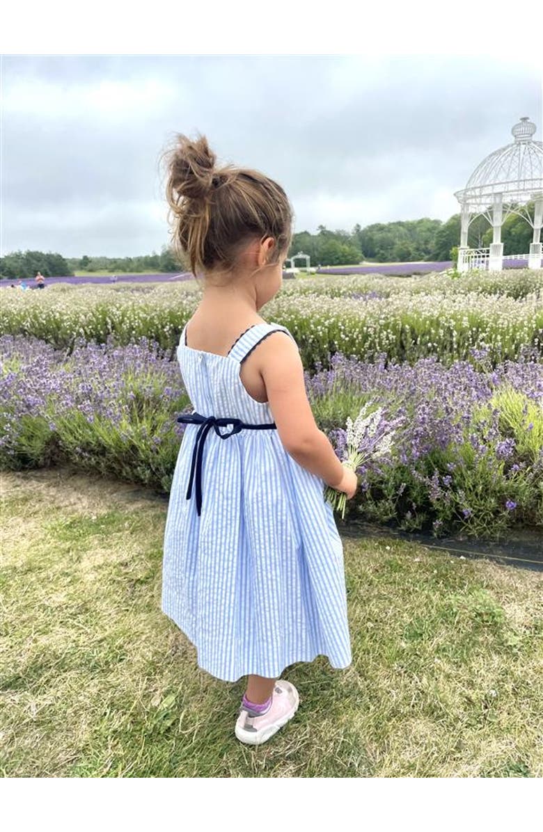 Florence Eiseman Seersucker Dress With Popscicles, Alternate, color, Light Blue