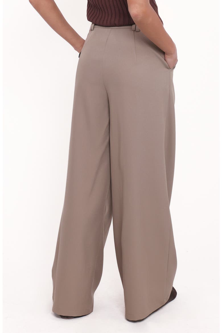 Kathryn Wide Leg Pants, Alternate, color, BEIGE