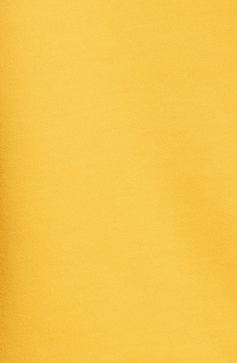 Helmut Lang Taxi Cotton Hoodie, Alternate, color,